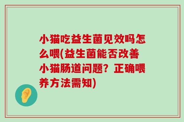 小猫吃益生菌见效吗怎么喂(益生菌能否改善小猫肠道问题？正确喂养方法需知)