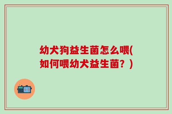幼犬狗益生菌怎么喂(如何喂幼犬益生菌？)