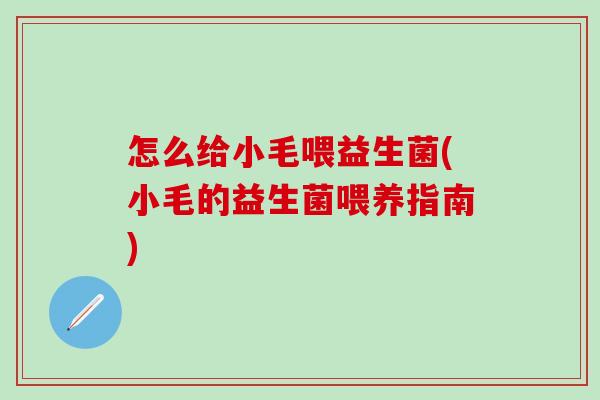 怎么给小毛喂益生菌(小毛的益生菌喂养指南)