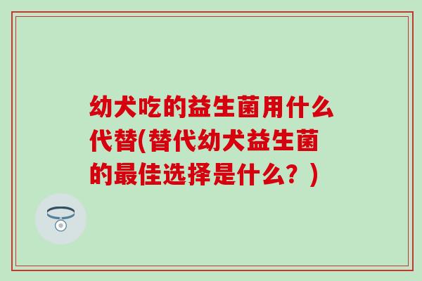 幼犬吃的益生菌用什么代替(替代幼犬益生菌的最佳选择是什么？)