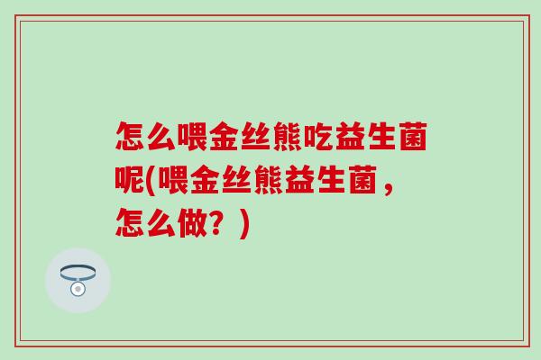 怎么喂金丝熊吃益生菌呢(喂金丝熊益生菌，怎么做？)