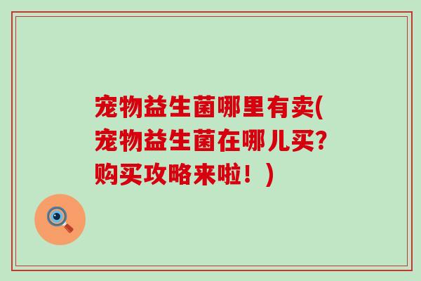 宠物益生菌哪里有卖(宠物益生菌在哪儿买？购买攻略来啦！)
