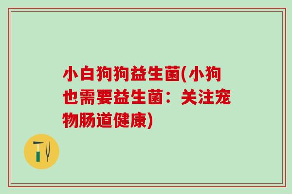 小白狗狗益生菌(小狗也需要益生菌：关注宠物肠道健康)