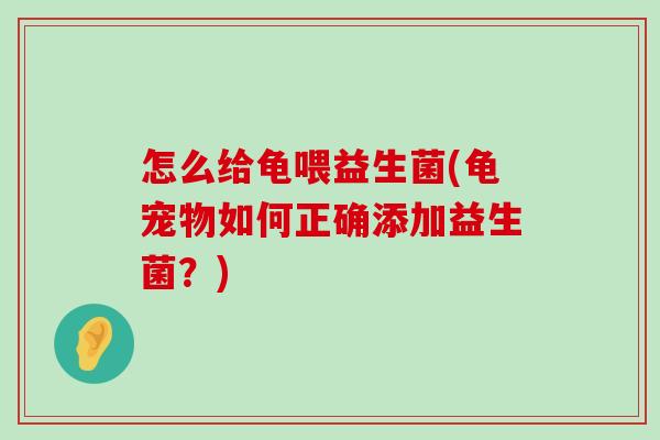怎么给龟喂益生菌(龟宠物如何正确添加益生菌？)