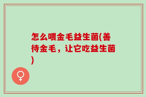 怎么喂金毛益生菌(善待金毛，让它吃益生菌)