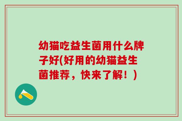 幼猫吃益生菌用什么牌子好(好用的幼猫益生菌推荐，快来了解！)