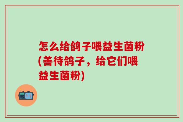 怎么给鸽子喂益生菌粉(善待鸽子，给它们喂益生菌粉)