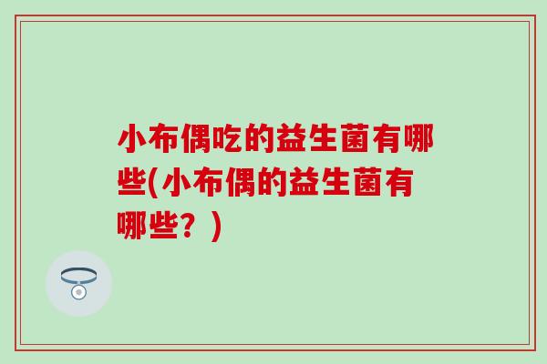 小布偶吃的益生菌有哪些(小布偶的益生菌有哪些？)