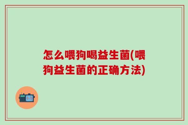 怎么喂狗喝益生菌(喂狗益生菌的正确方法) 怎么喂狗喝益生菌(喂狗益生菌的正确方法)
