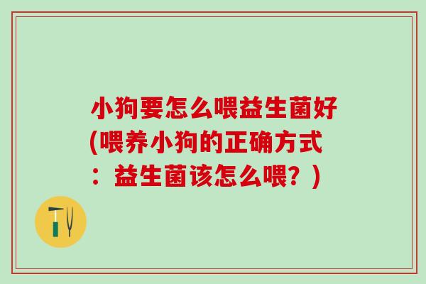 小狗要怎么喂益生菌好(喂养小狗的正确方式：益生菌该怎么喂？)