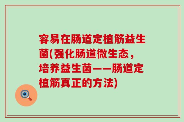容易在肠道定植筋益生菌(强化肠道微生态，培养益生菌——肠道定植筋真正的方法)