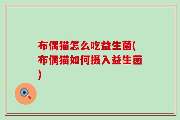 布偶猫怎么吃益生菌(布偶猫如何摄入益生菌)