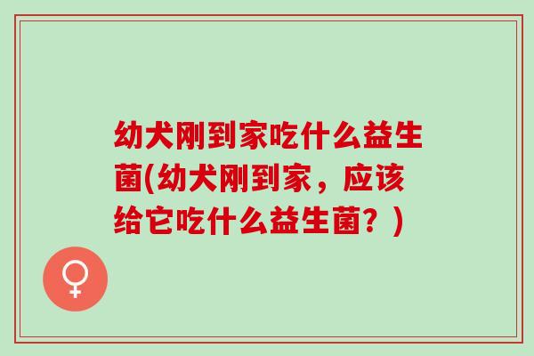 幼犬刚到家吃什么益生菌(幼犬刚到家，应该给它吃什么益生菌？)