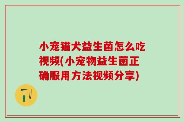 小宠猫犬益生菌怎么吃视频(小宠物益生菌正确服用方法视频分享)