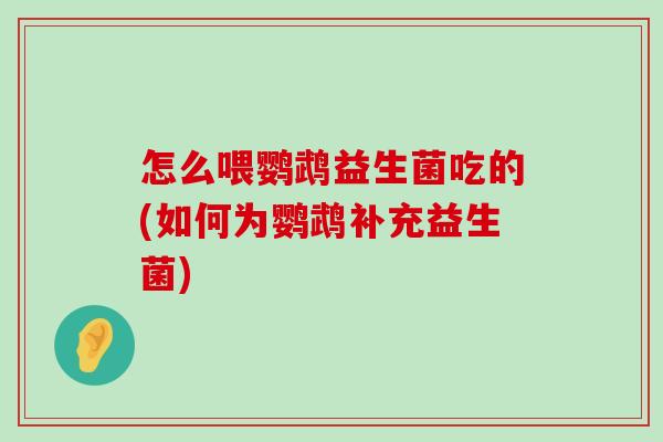 怎么喂鹦鹉益生菌吃的(如何为鹦鹉补充益生菌)