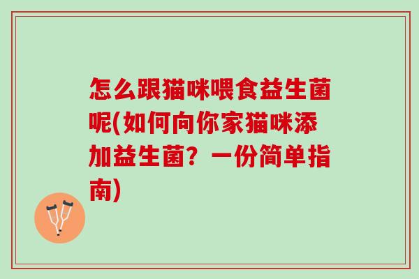 怎么跟猫咪喂食益生菌呢(如何向你家猫咪添加益生菌？一份简单指南)