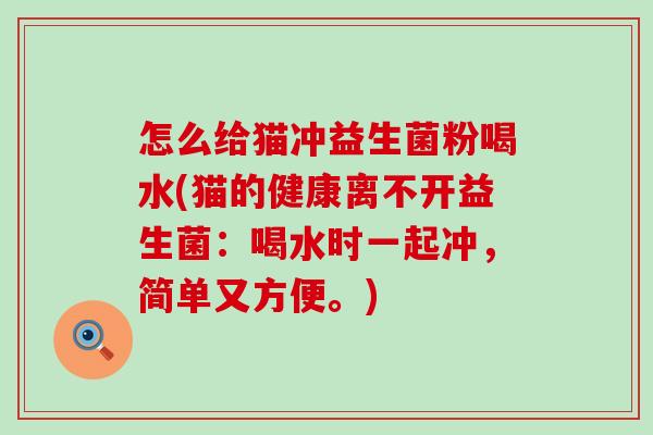怎么给猫冲益生菌粉喝水(猫的健康离不开益生菌：喝水时一起冲，简单又方便。)
