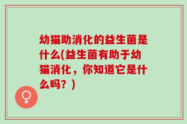 幼猫助消化的益生菌是什么(益生菌有助于幼猫消化，你知道它是什么吗？)