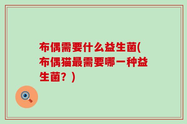 布偶需要什么益生菌(布偶猫最需要哪一种益生菌？)