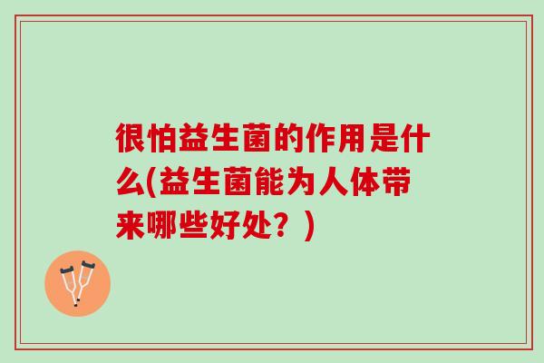 很怕益生菌的作用是什么(益生菌能为人体带来哪些好处？)