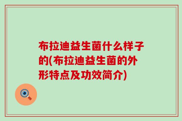 布拉迪益生菌什么样子的(布拉迪益生菌的外形特点及功效简介)