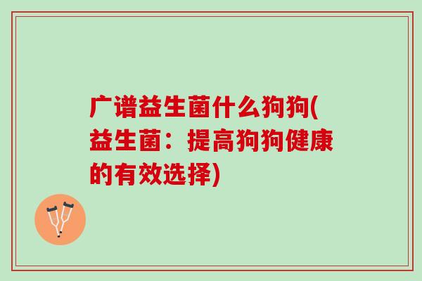 广谱益生菌什么狗狗(益生菌：提高狗狗健康的有效选择)