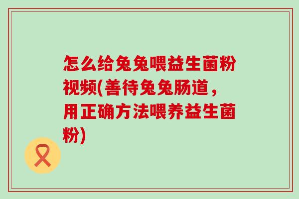 怎么给兔兔喂益生菌粉视频(善待兔兔肠道，用正确方法喂养益生菌粉)