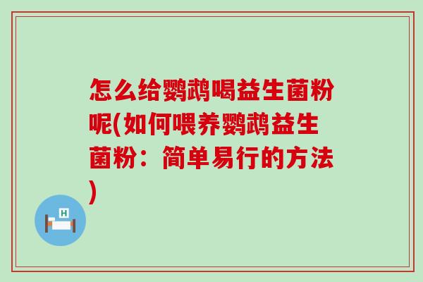 怎么给鹦鹉喝益生菌粉呢(如何喂养鹦鹉益生菌粉：简单易行的方法)