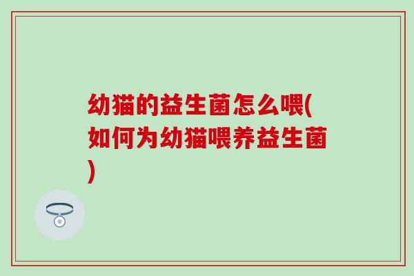 幼猫的益生菌怎么喂(如何为幼猫喂养益生菌)