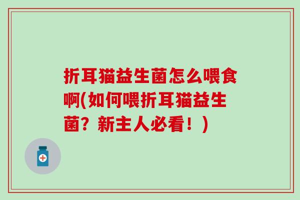 折耳猫益生菌怎么喂食啊(如何喂折耳猫益生菌？新主人必看！)