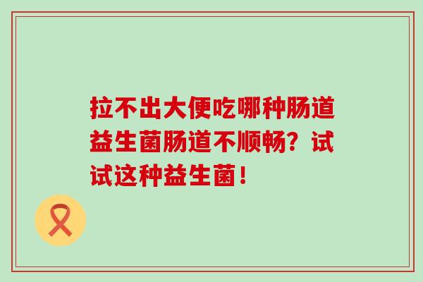 拉不出大便吃哪种肠道益生菌肠道不顺畅？试试这种益生菌！