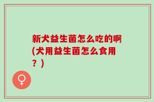 新犬益生菌怎么吃的啊(犬用益生菌怎么食用?) 新犬益生菌怎么吃的啊(犬用益生菌怎么食用?)