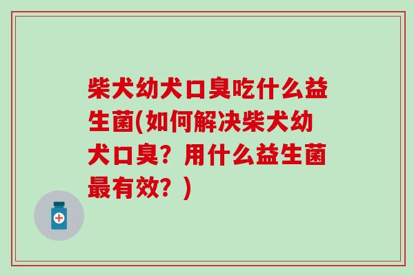 柴犬幼犬口臭吃什么益生菌(如何解决柴犬幼犬口臭？用什么益生菌最有效？)