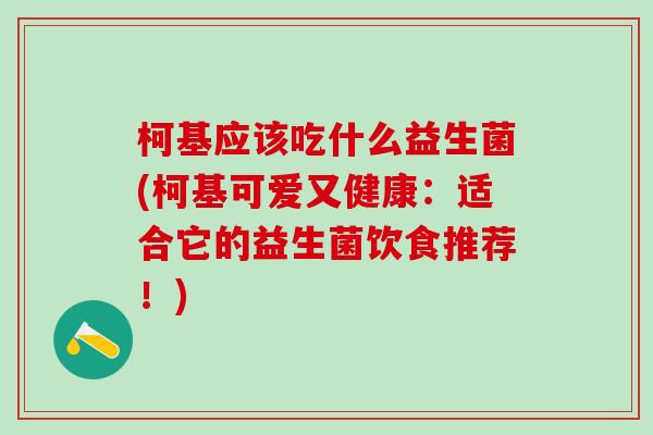 柯基应该吃什么益生菌(柯基可爱又健康：适合它的益生菌饮食推荐！)