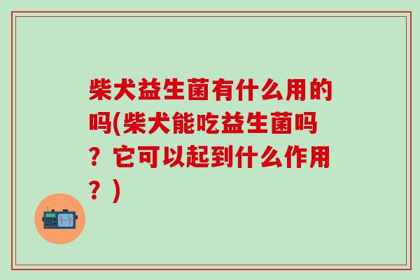 柴犬益生菌有什么用的吗(柴犬能吃益生菌吗?它可以起到什么作用?) 柴犬益生菌有什么用的吗(柴犬能吃益生菌吗?它可以起到什么作用?)