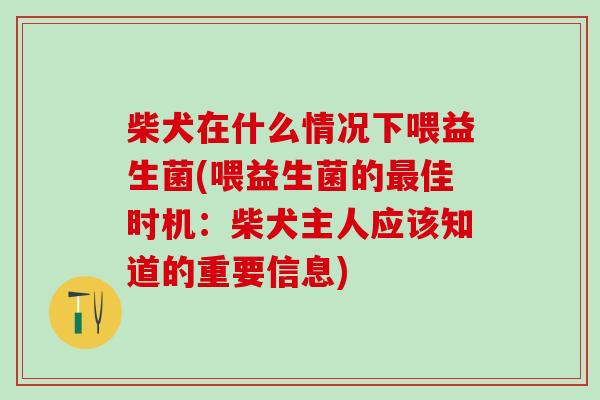 柴犬在什么情况下喂益生菌(喂益生菌的最佳时机：柴犬主人应该知道的重要信息)