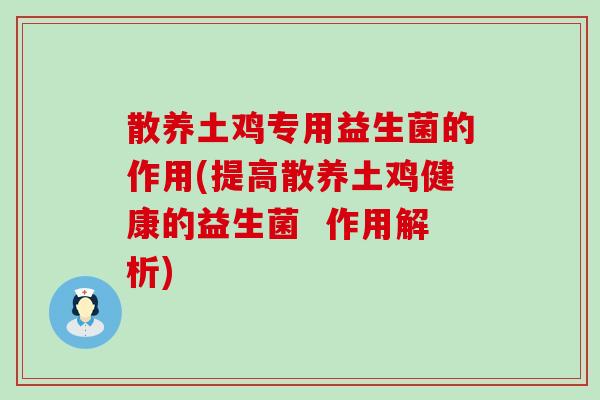 散养土鸡专用益生菌的作用(提高散养土鸡健康的益生菌  作用解析)