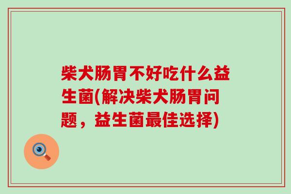 柴犬肠胃不好吃什么益生菌(解决柴犬肠胃问题，益生菌最佳选择)