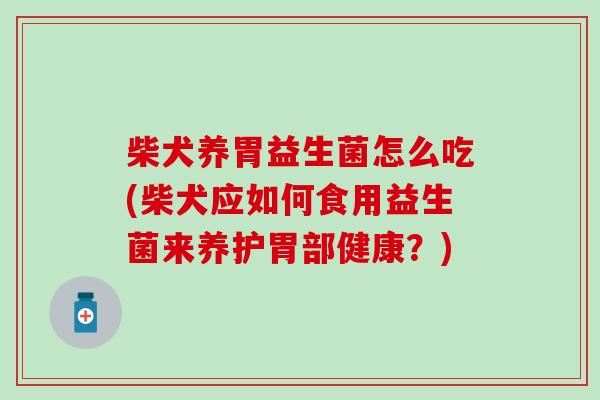 柴犬养胃益生菌怎么吃(柴犬应如何食用益生菌来养护胃部健康？)