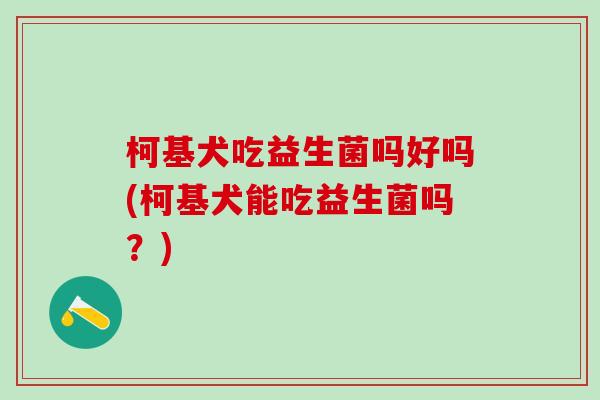 柯基犬吃益生菌吗好吗(柯基犬能吃益生菌吗？)