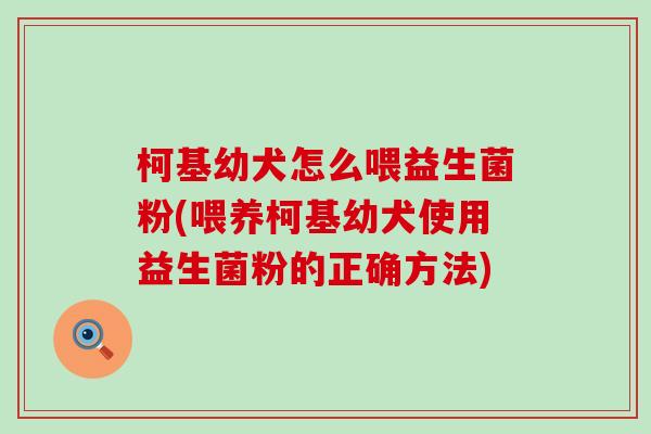 柯基幼犬怎么喂益生菌粉(喂养柯基幼犬使用益生菌粉的正确方法)