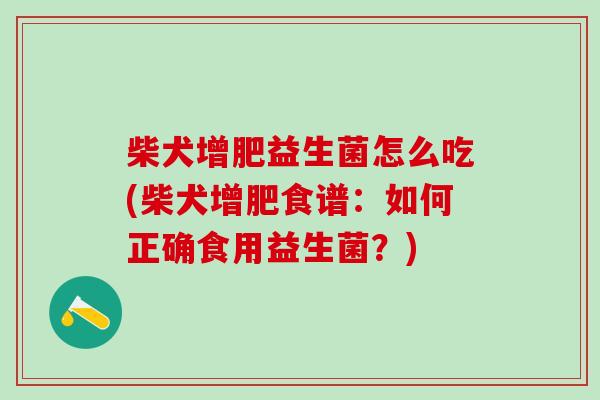 柴犬增肥益生菌怎么吃(柴犬增肥食谱：如何正确食用益生菌？)