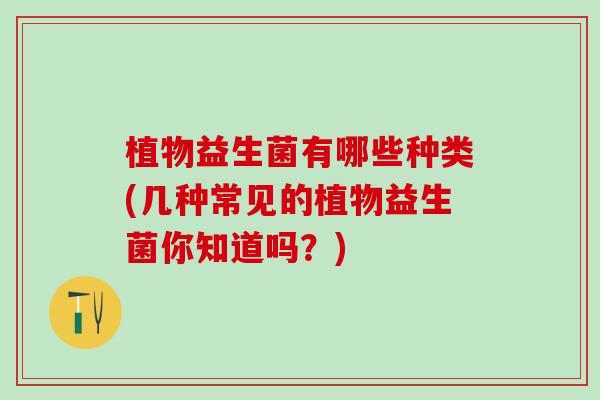 植物益生菌有哪些种类(几种常见的植物益生菌你知道吗？)