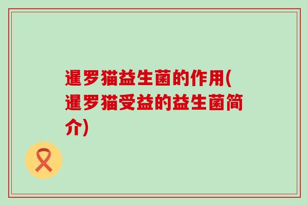 暹罗猫益生菌的作用(暹罗猫受益的益生菌简介)