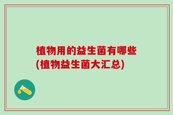 植物用的益生菌有哪些(植物益生菌大汇总)