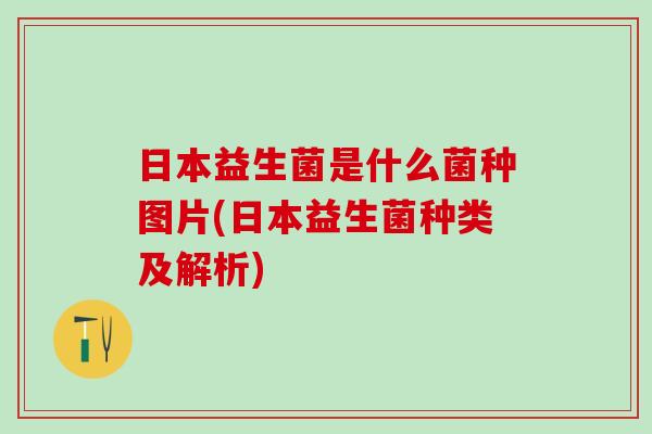 日本益生菌是什么菌种图片(日本益生菌种类及解析)