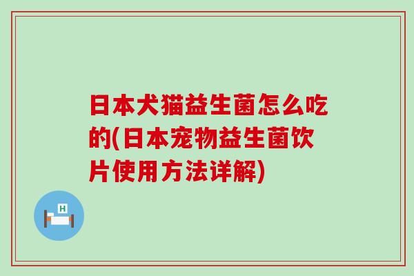 日本犬猫益生菌怎么吃的(日本宠物益生菌饮片使用方法详解)