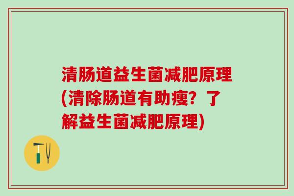 清肠道益生菌减肥原理(清除肠道有助瘦？了解益生菌减肥原理)