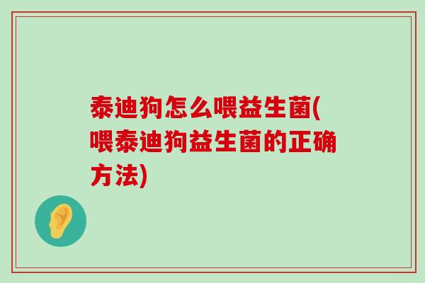 泰迪狗怎么喂益生菌(喂泰迪狗益生菌的正确方法)