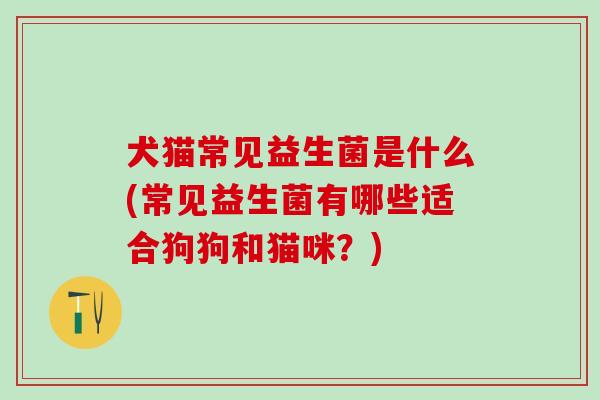 犬猫常见益生菌是什么(常见益生菌有哪些适合狗狗和猫咪？)
